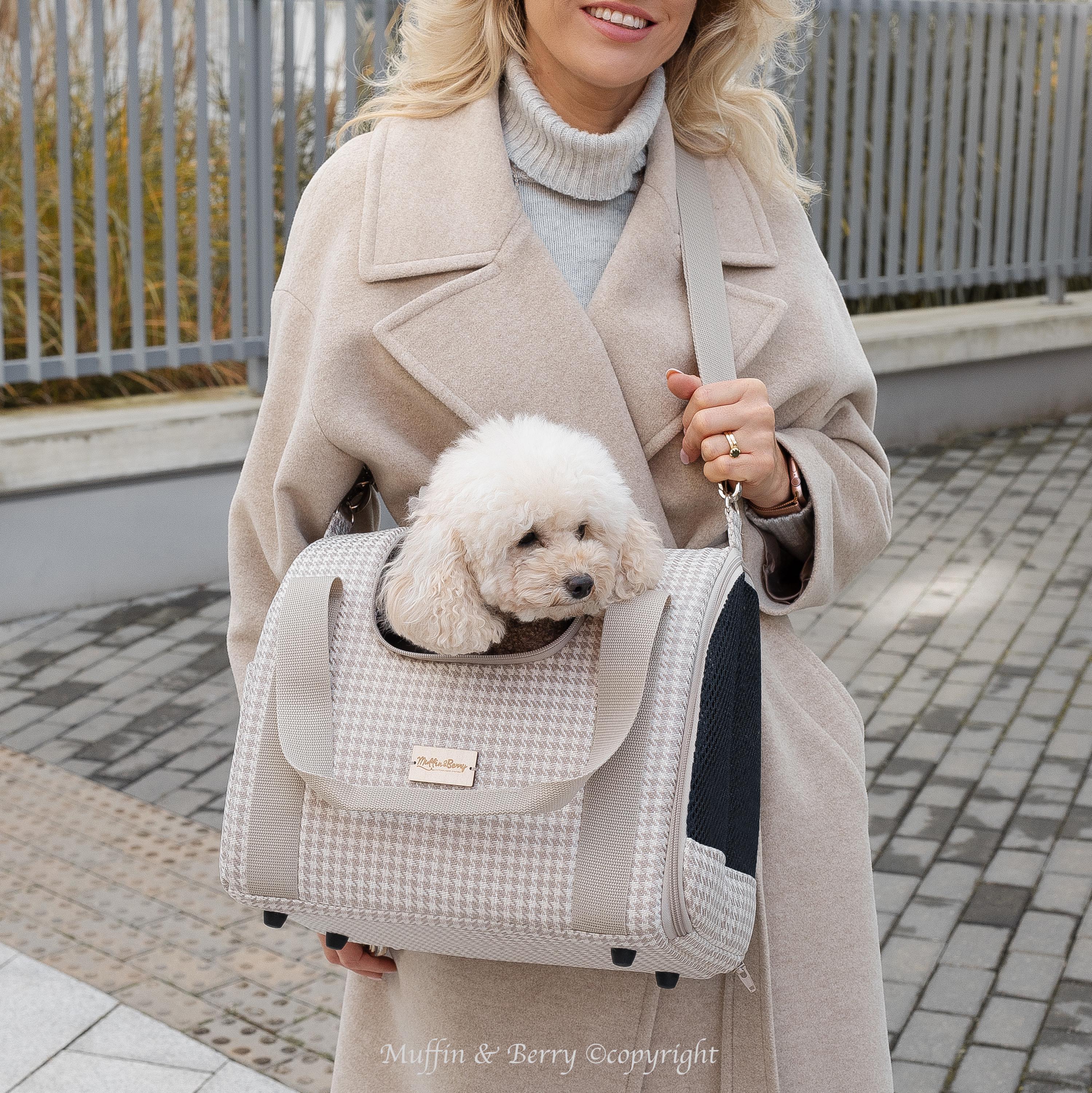 Enclosed Travel Pet Carrier 