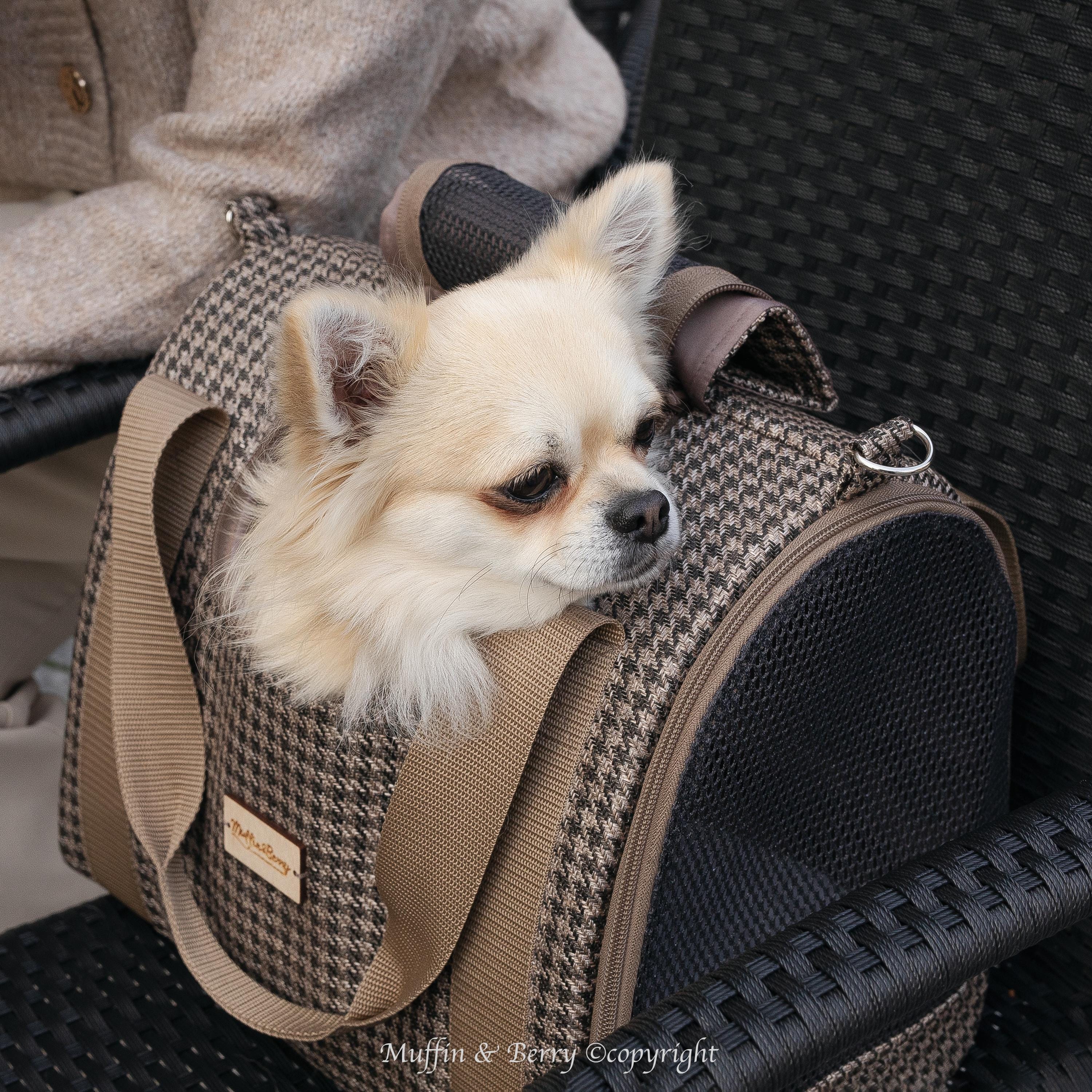 Enclosed Travel Pet Carrier