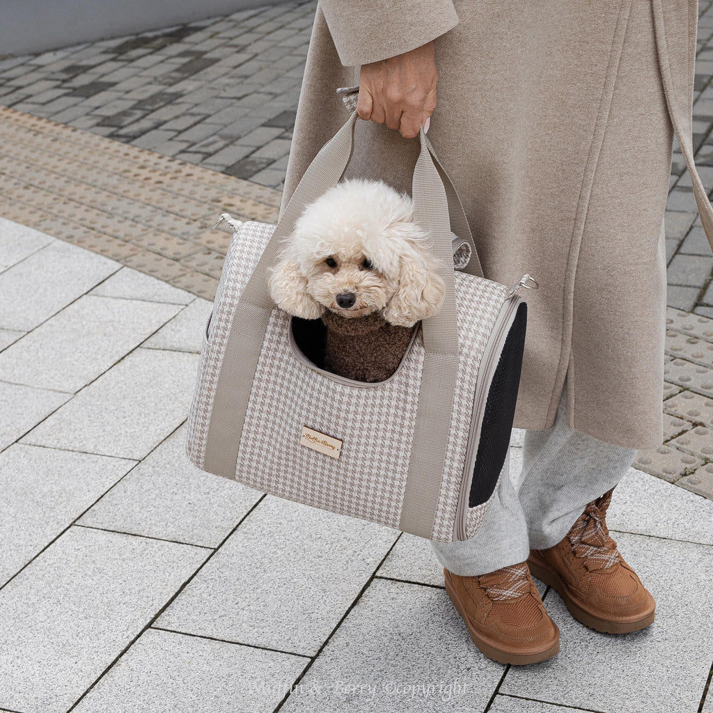 Enclosed Travel Pet Carrier 