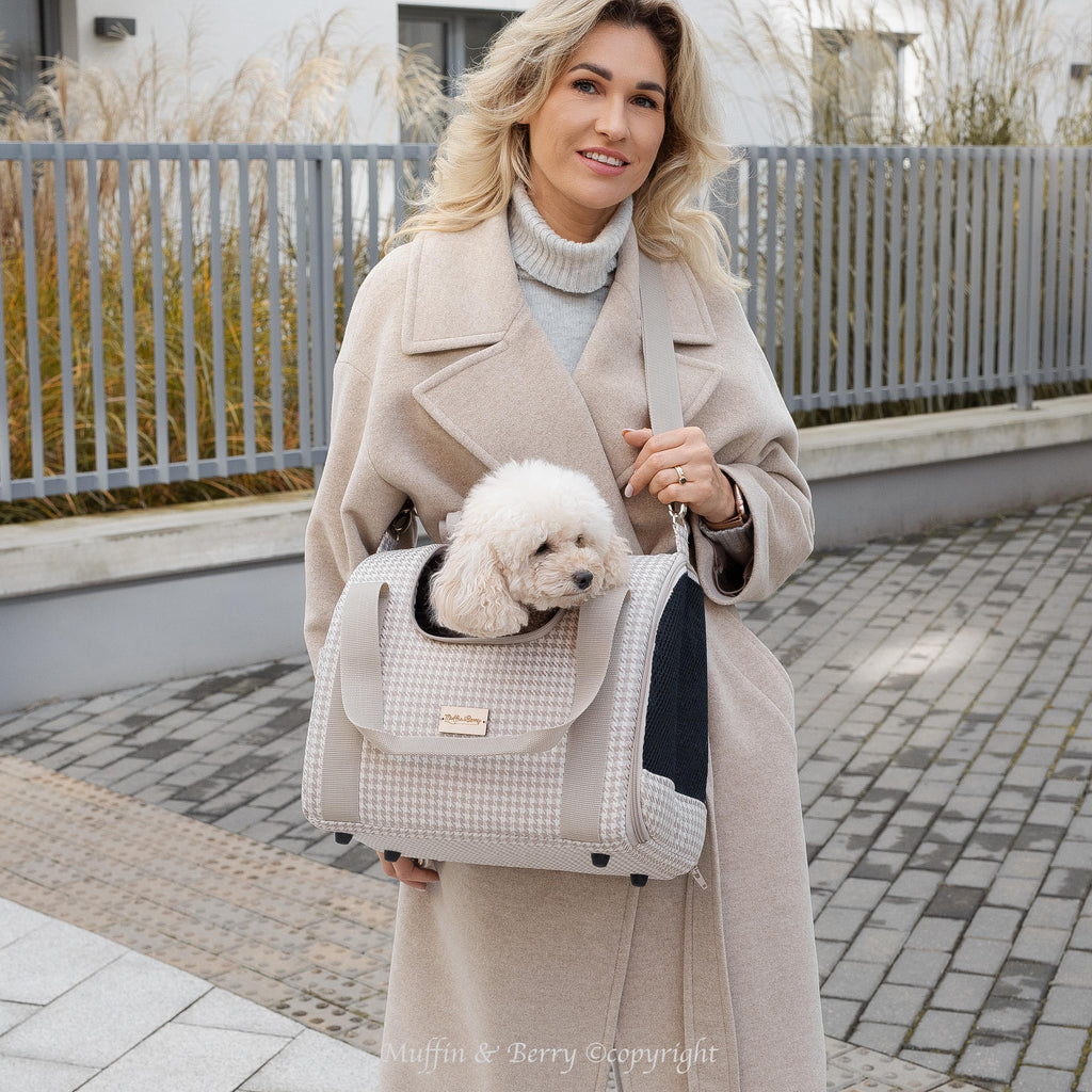 Enclosed Travel Pet Carrier 