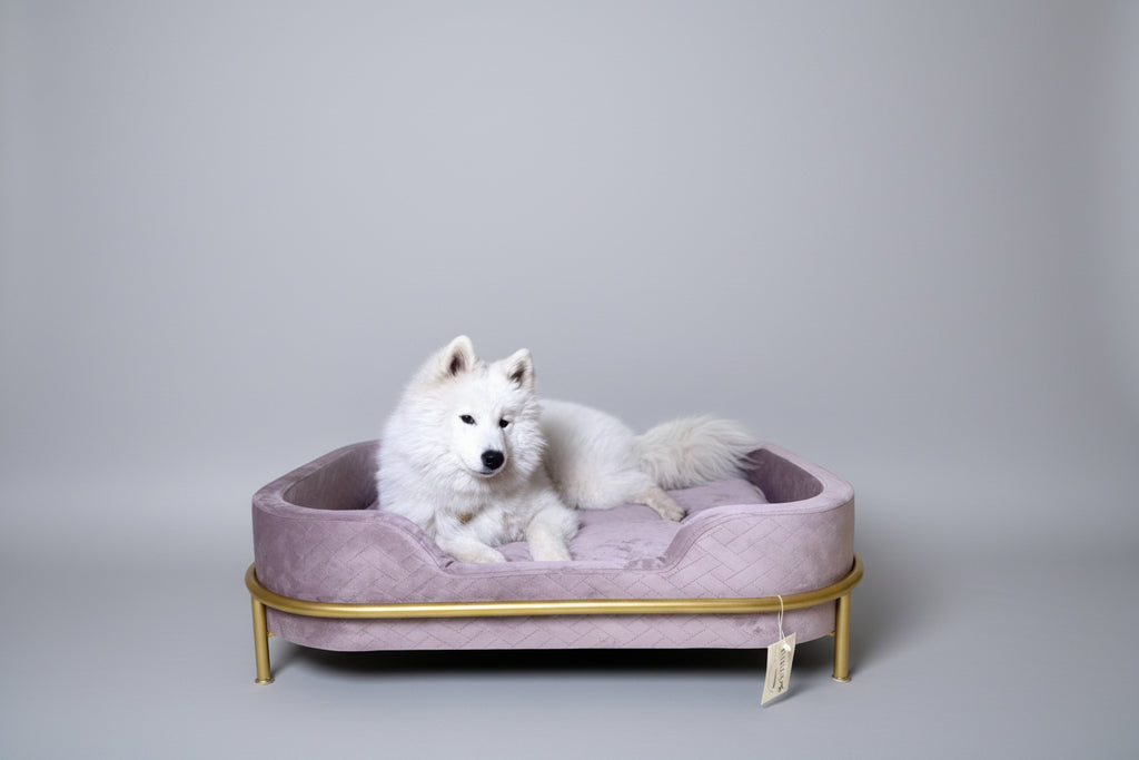 The Velvet Pet Bed