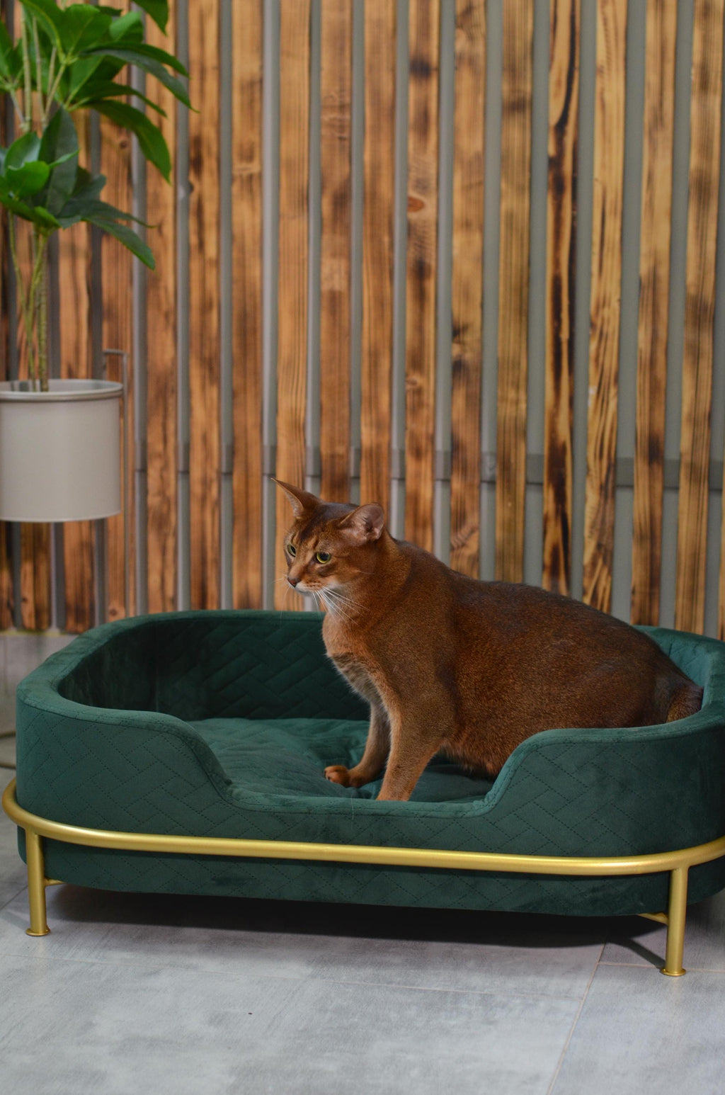 The Velvet Pet Bed