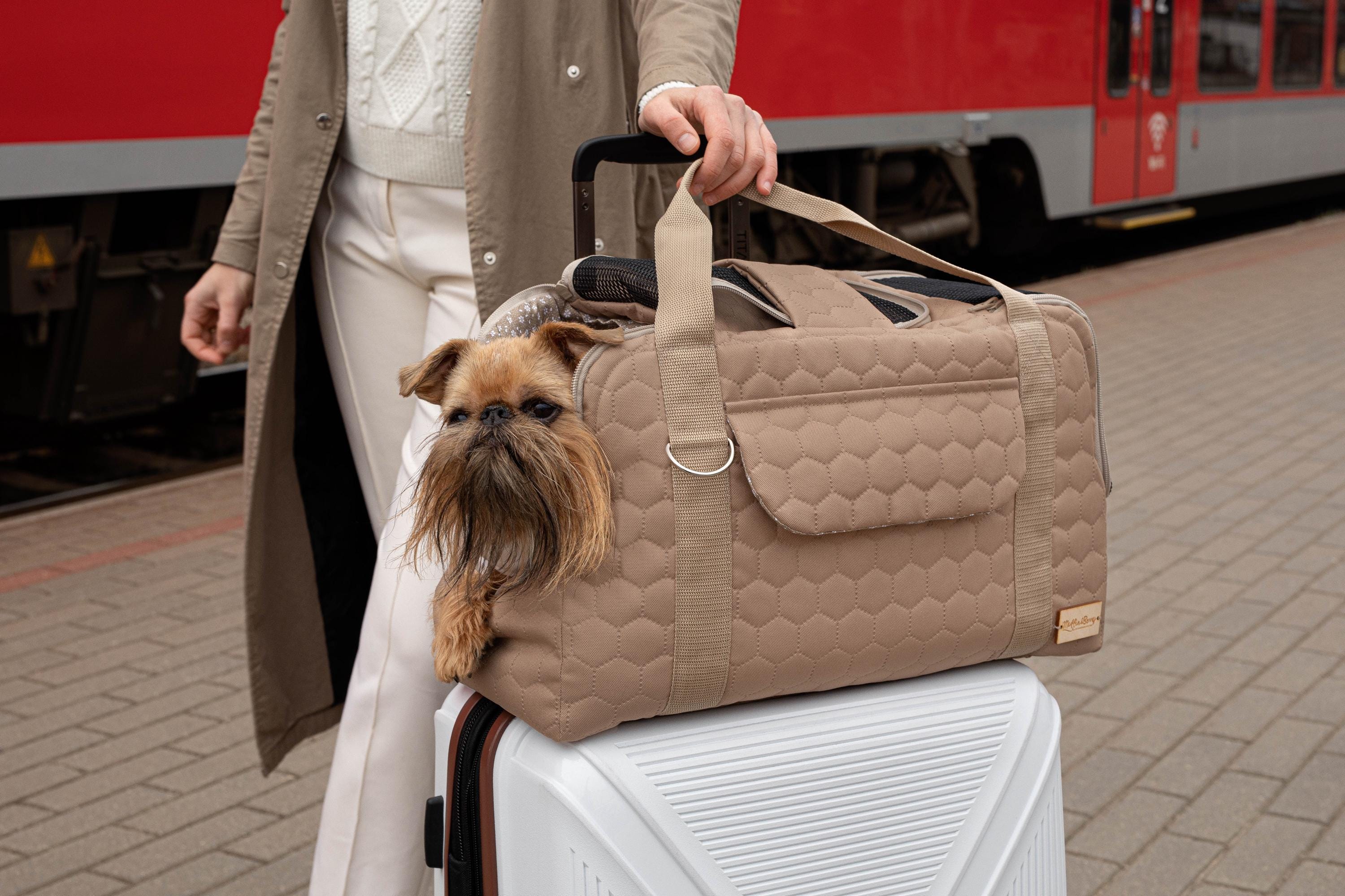 Quilted Travel Pet Carrier