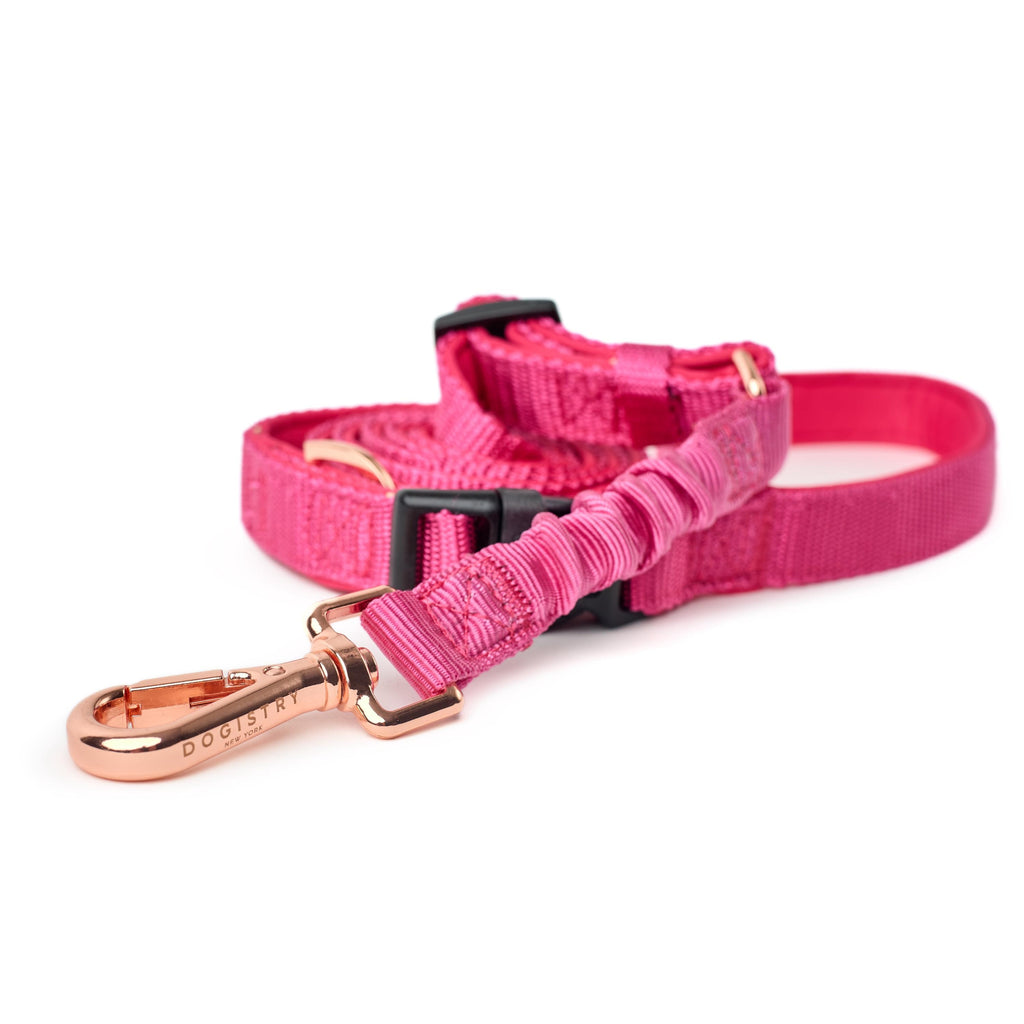 Soho Dog Walking Set - Park Ave Pink
