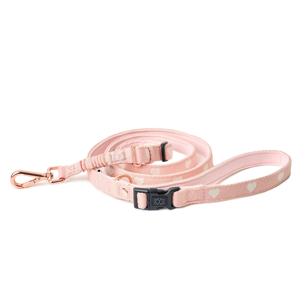Nomad Adjustable Dog Walking Set - Sweetheart