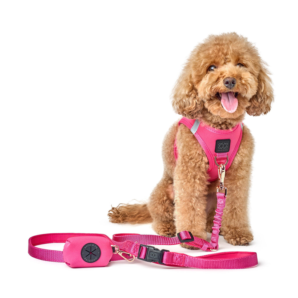 City Leash Set - Park Ave Pink