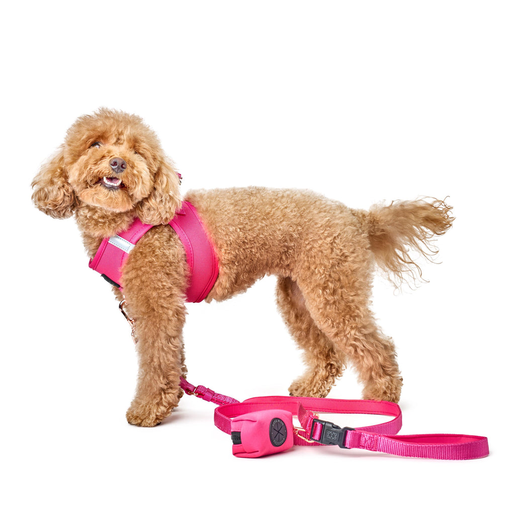City Leash Set - Park Ave Pink