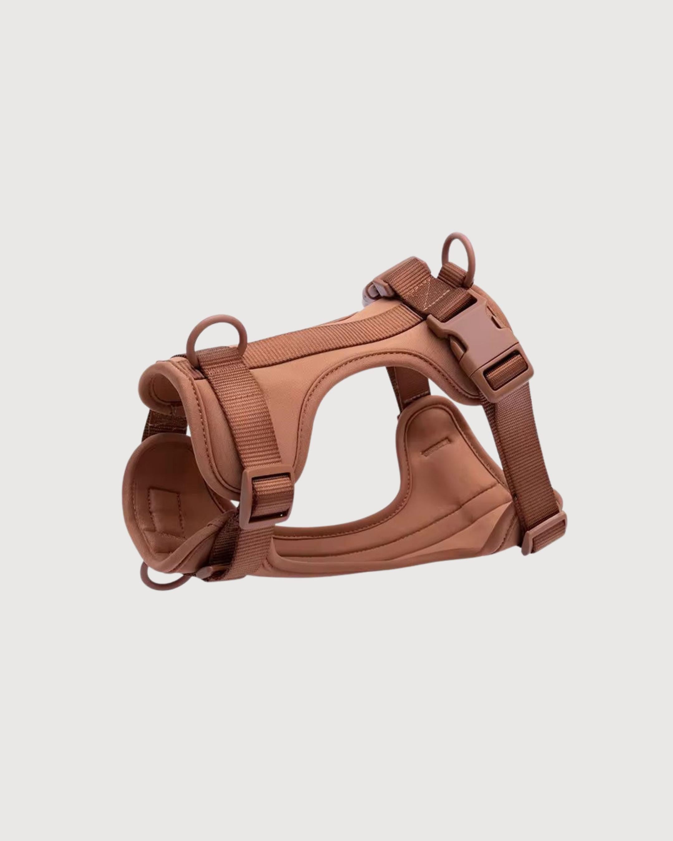 Toffee Brown No-Pull Harness & Leash Set