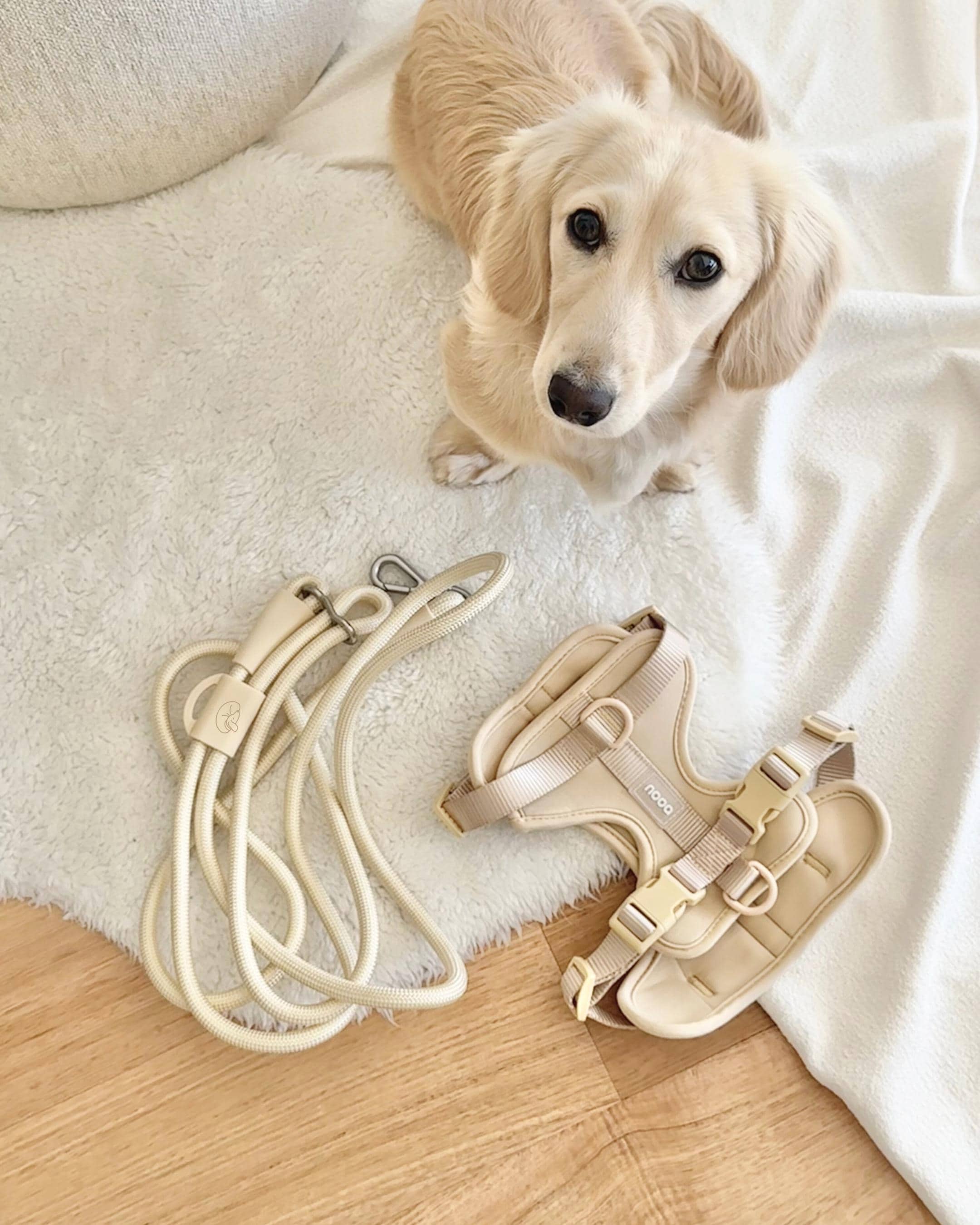 Oat Beige Softnest No-Pull Harness & Leash Set