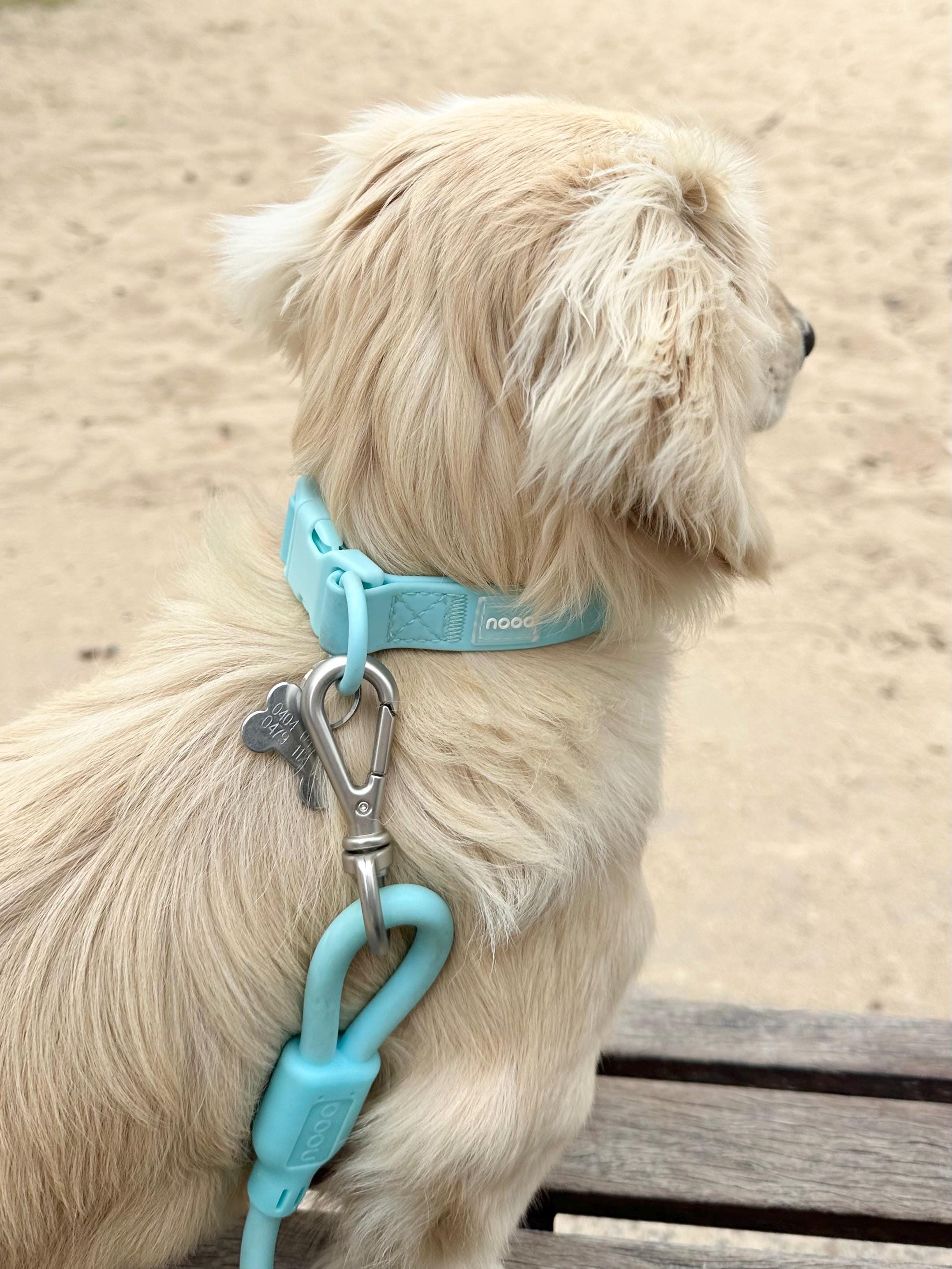 Sky Blue Waterproof Dog Leash & Collar Set