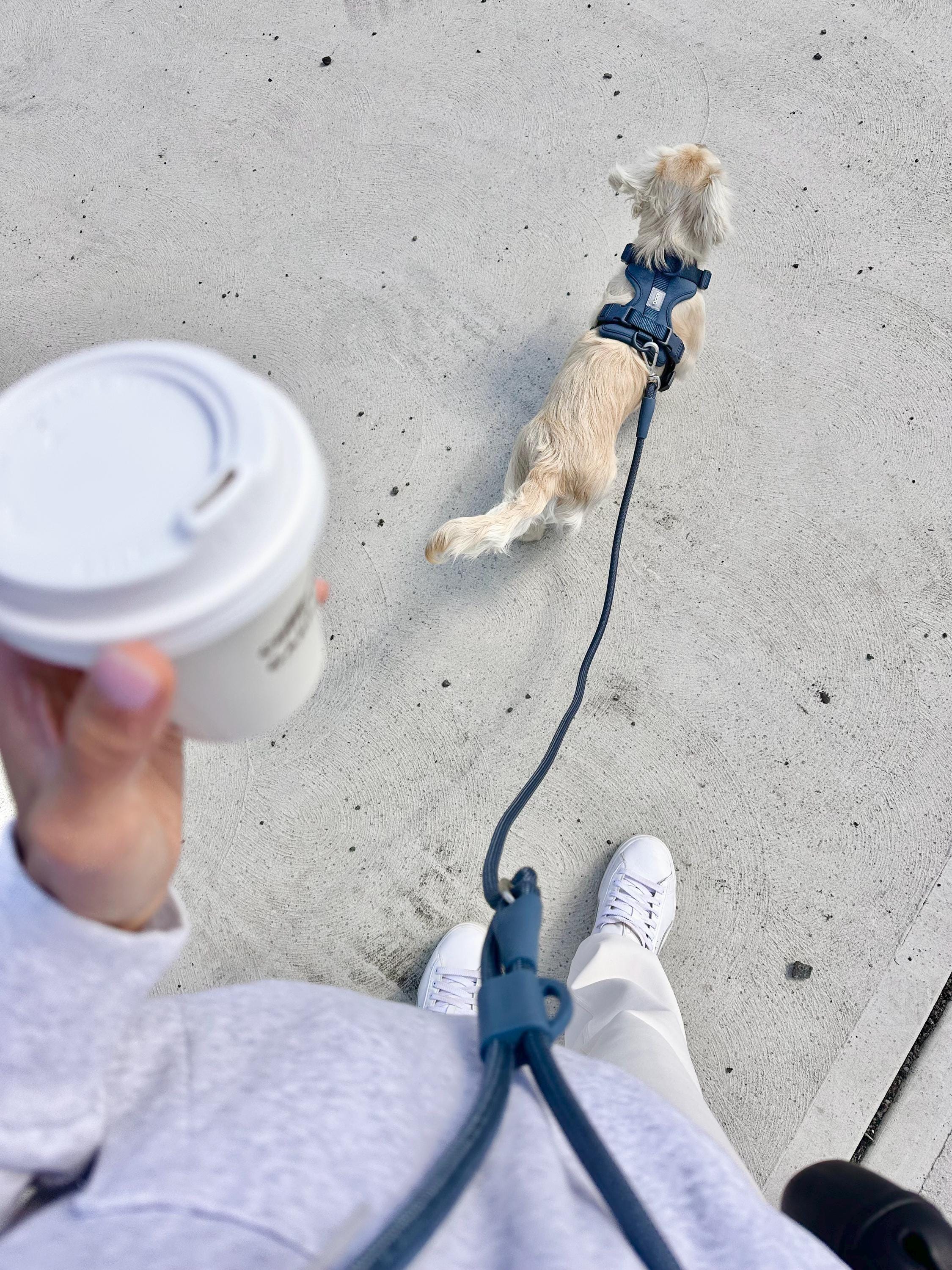 Midnight Blue Softnest No-Pull Harness & Leash Set