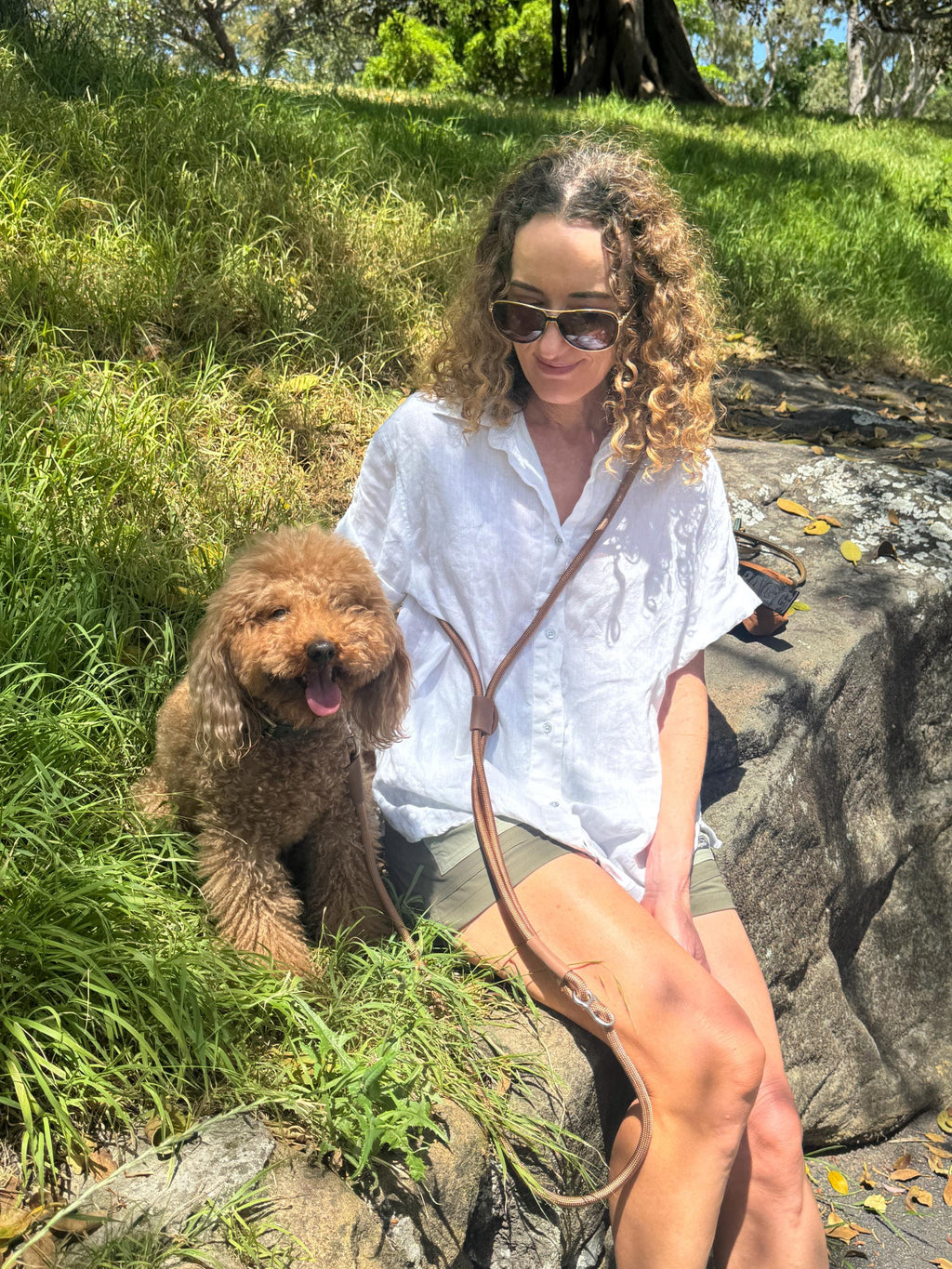Toffee Brown No-Pull Harness & Leash Set