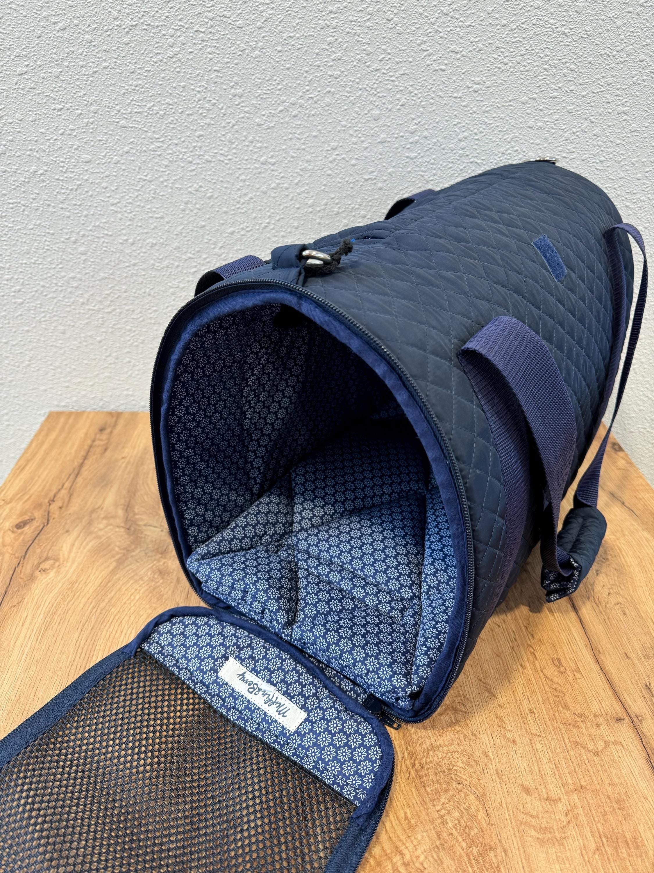 Enclosed Travel Pet Carrier
