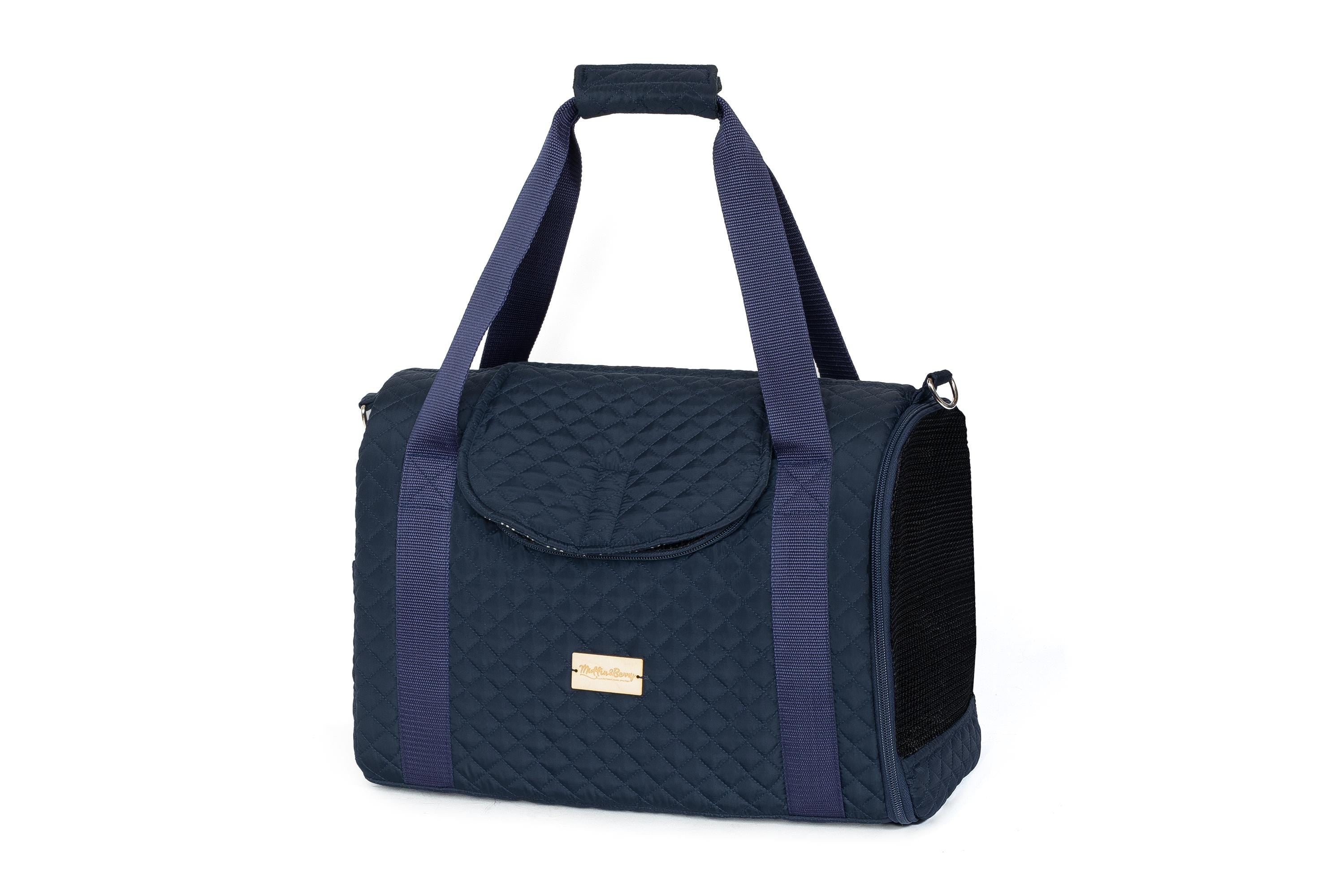 Enclosed Travel Pet Carrier